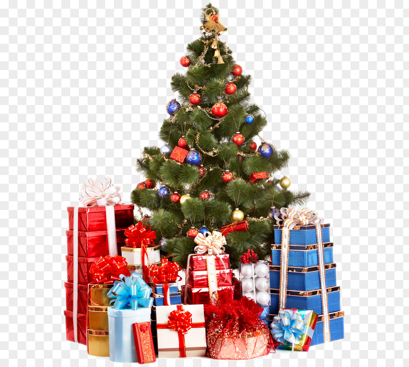 Christmas Tree Gift Holiday Photography PNG