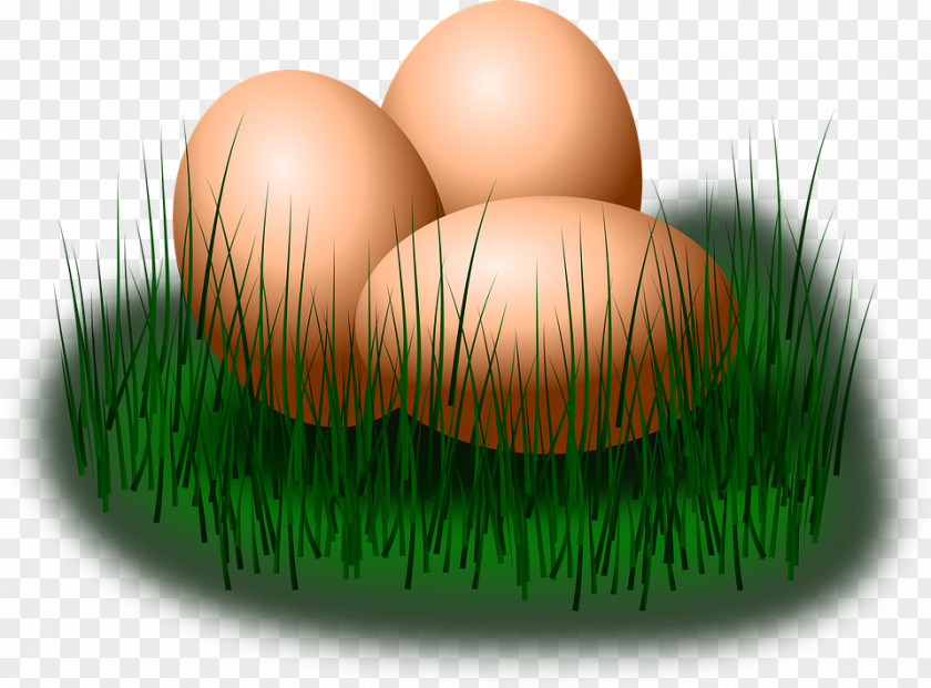 Green Flower Easter Egg Clip Art PNG