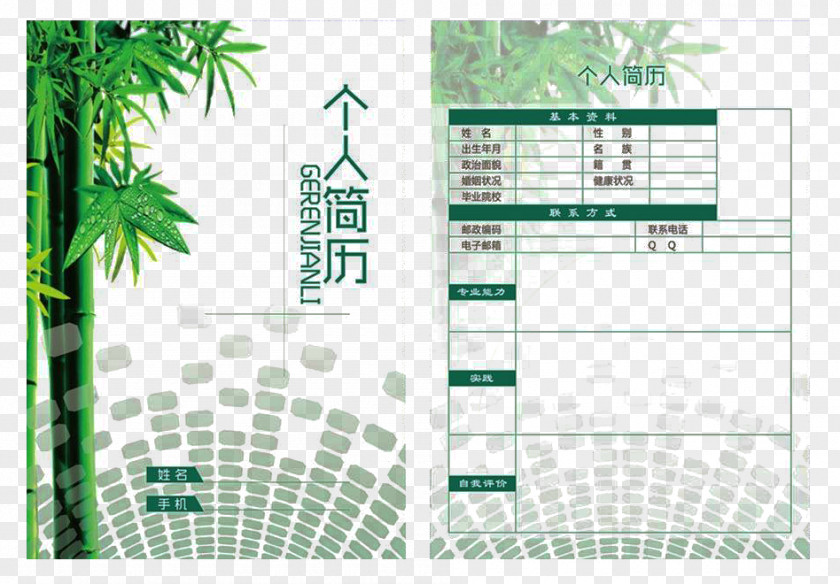 Green Personal Resume Template Tea Brand Graphic Design Diagram PNG