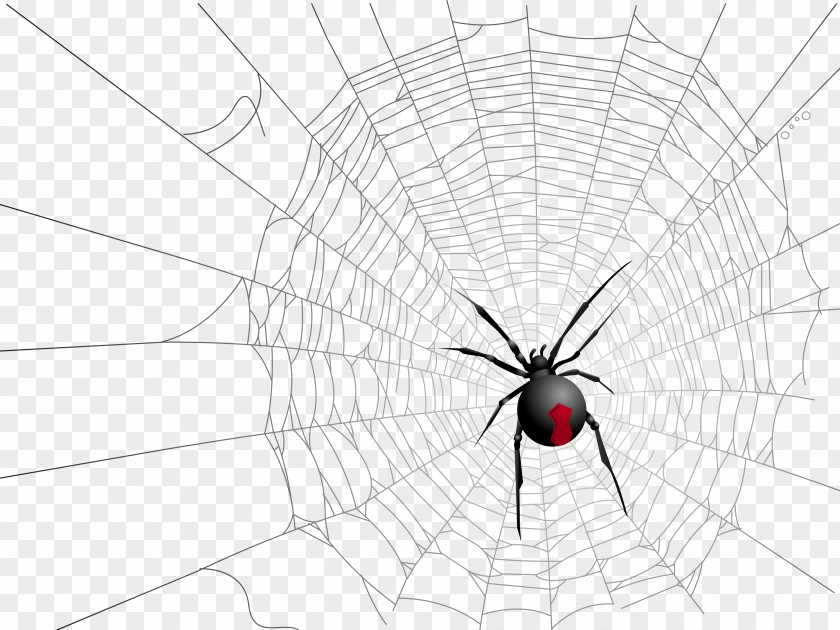 Halloween Transparent Net And Spider Picture Widow Spiders Insect Symmetry Pattern PNG