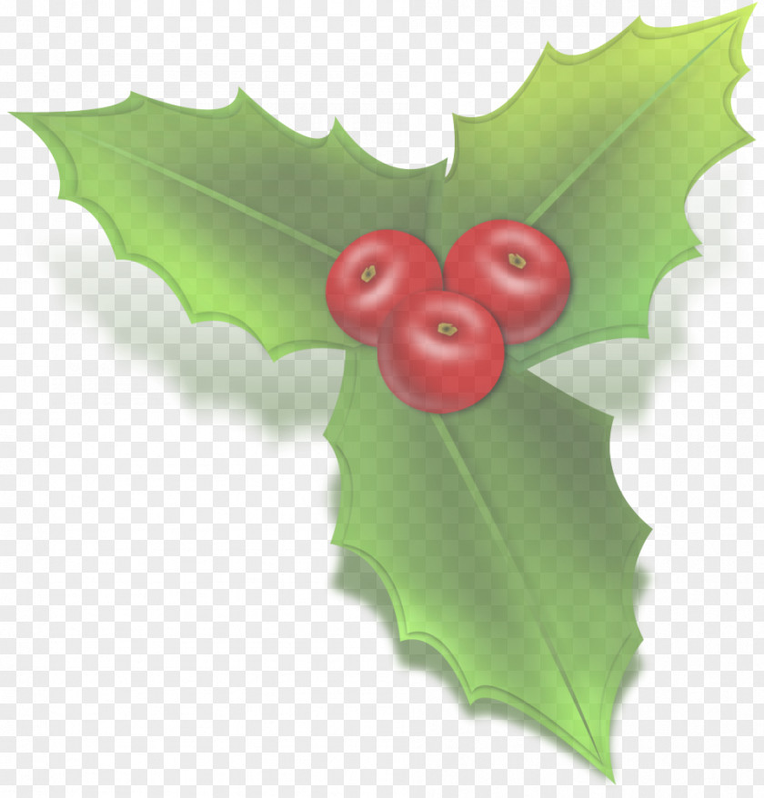 Hollyleaf Cherry Flower Holly PNG