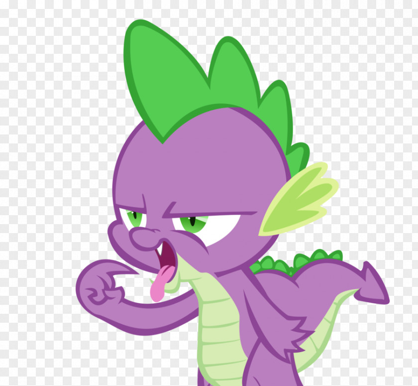 Spike Twilight Sparkle Rainbow Dash Pinkie Pie Rarity PNG