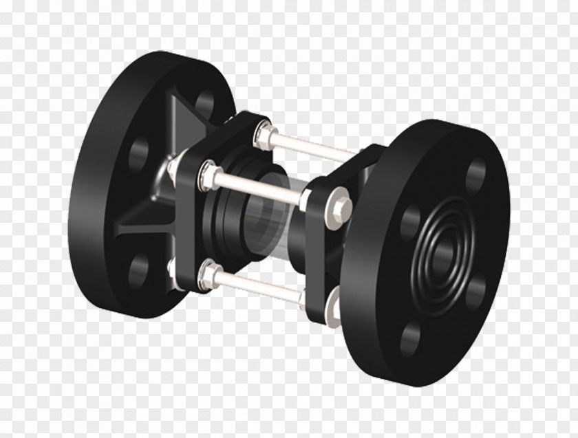 Glass Sight Valve Nominal Pipe Size Plastic Flange PNG