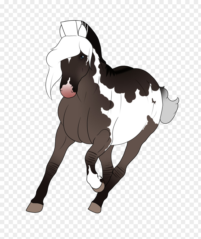 Mustang Pony Stallion Rein Drawing PNG