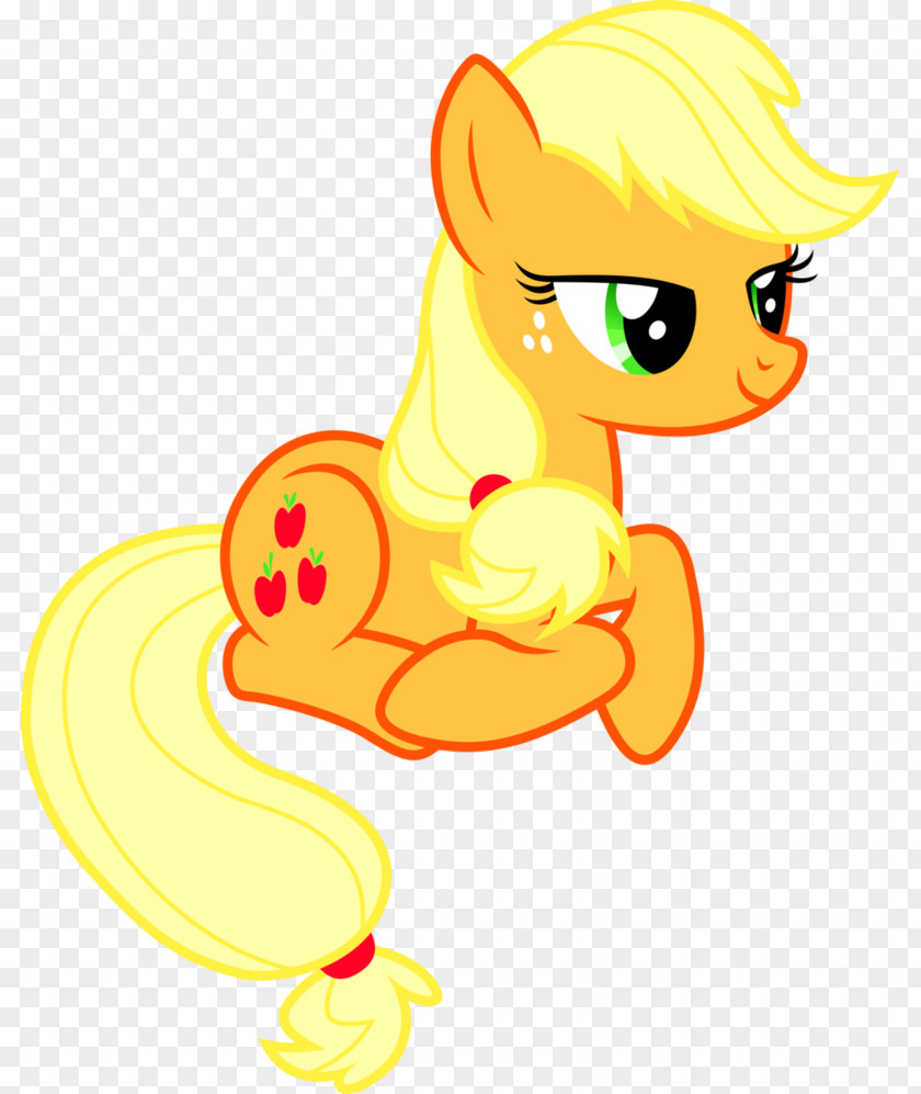 My Little Pony Applejack Twilight Sparkle Princess Cadance Fluttershy PNG