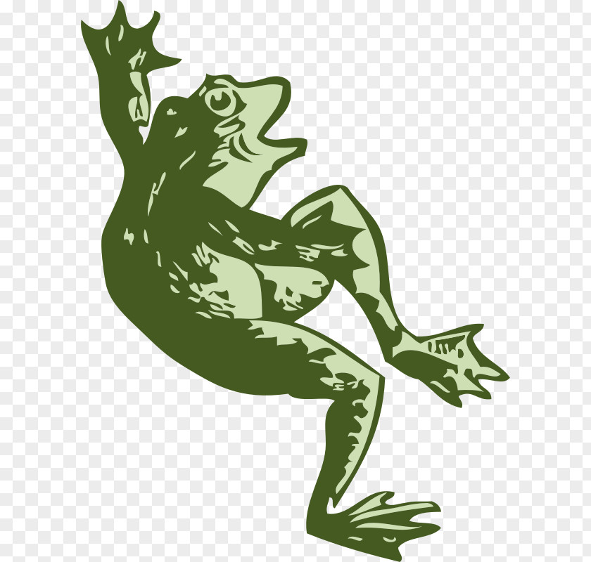 Pictures People Dancing Frog Stock.xchng Clip Art PNG