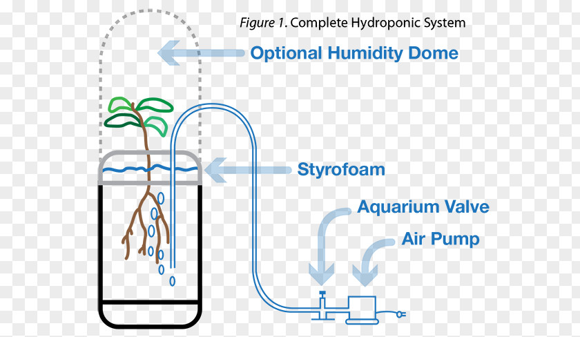 Aquarium Hydroponics Line Technology Angle PNG