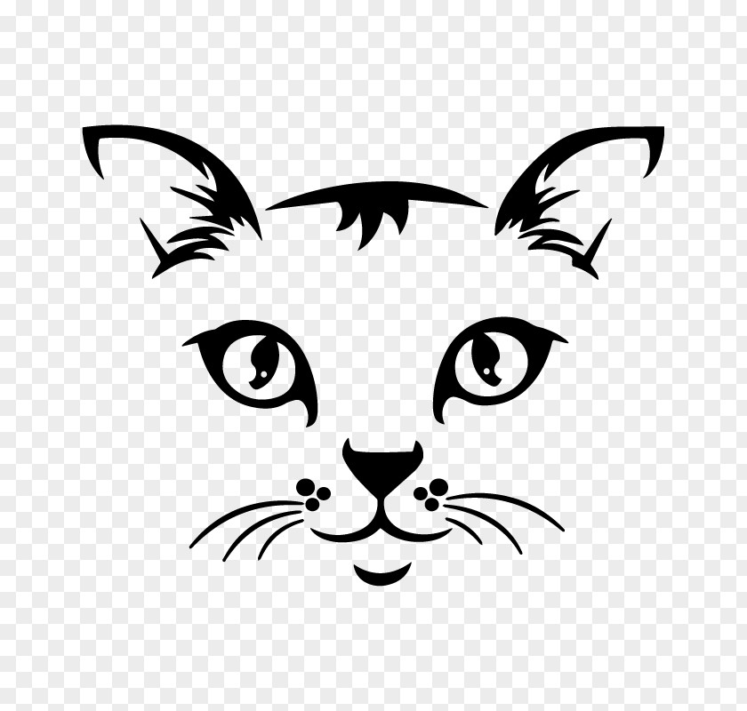 Cat Whiskers Wildcat Tabby Clip Art PNG
