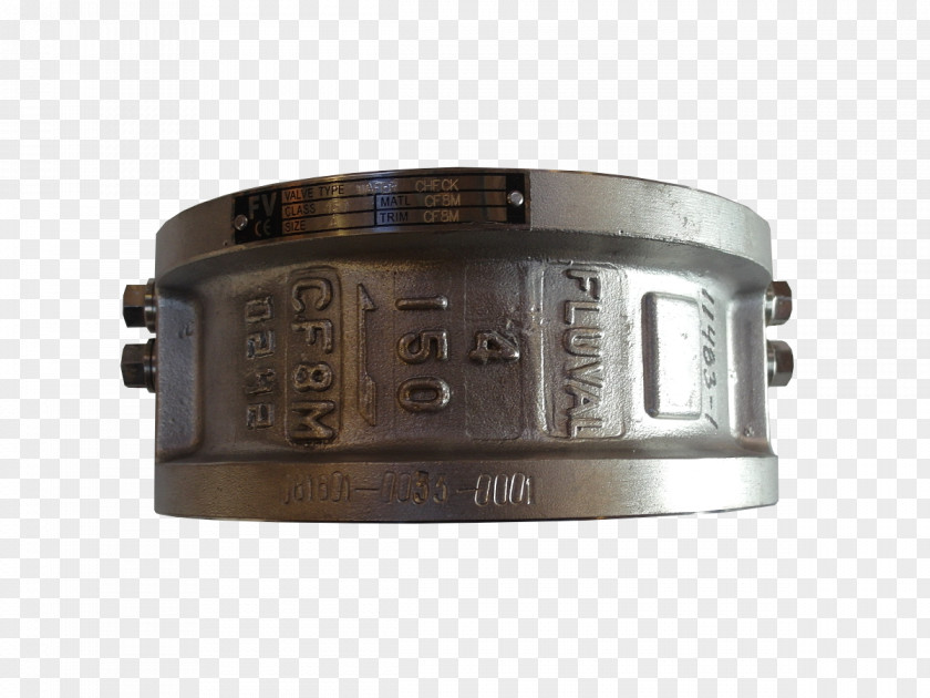 Check Valve Double Steel Casting PNG