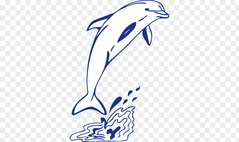 Dolphin Clip Art Drawing Image Photography PNG