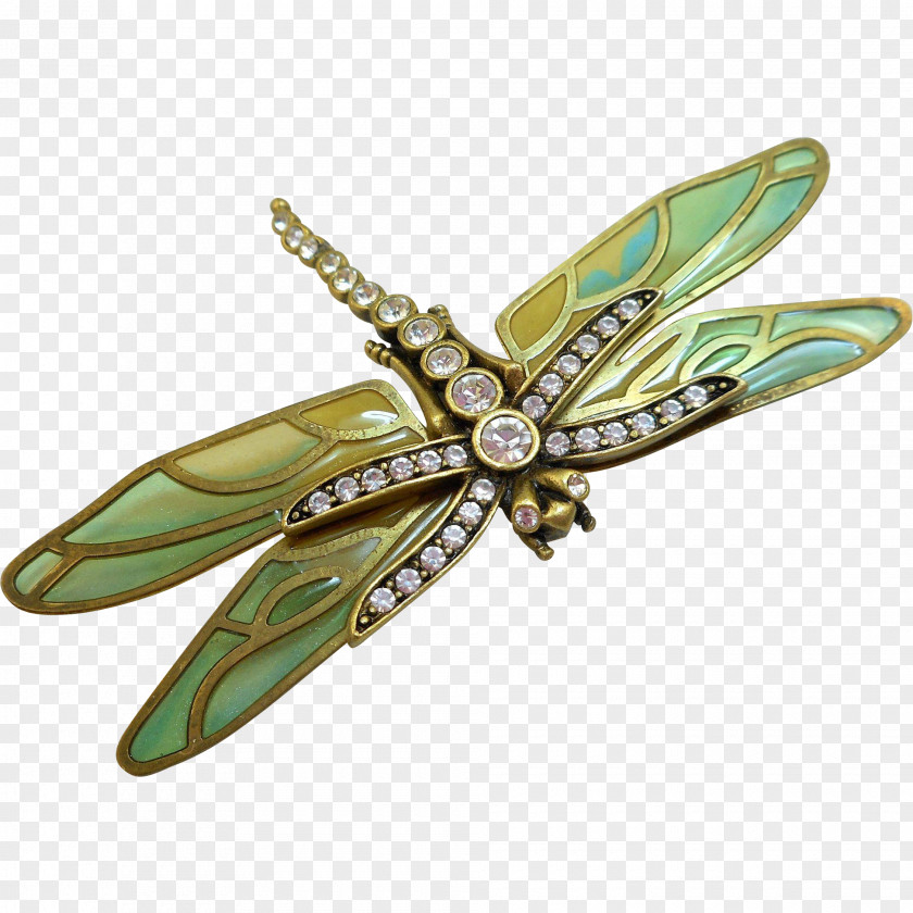 Dragonfly Insect Butterfly Jewellery Clothing Accessories Pollinator PNG
