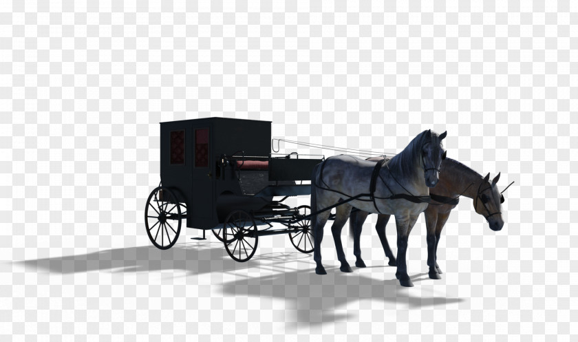 Horse And Buggy Wagon Vehicle Harness Carriage PNG