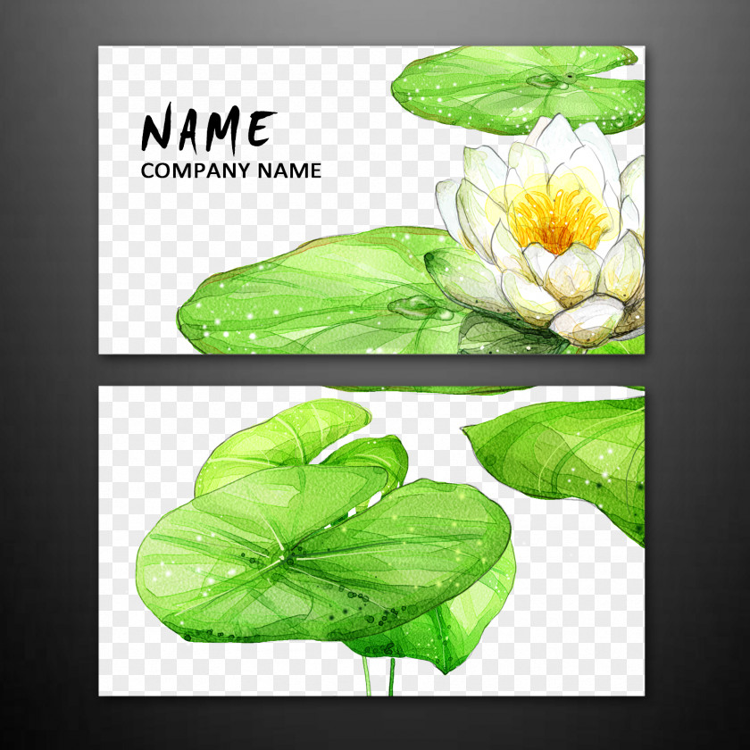 Lotus Character Card Business Design PNG