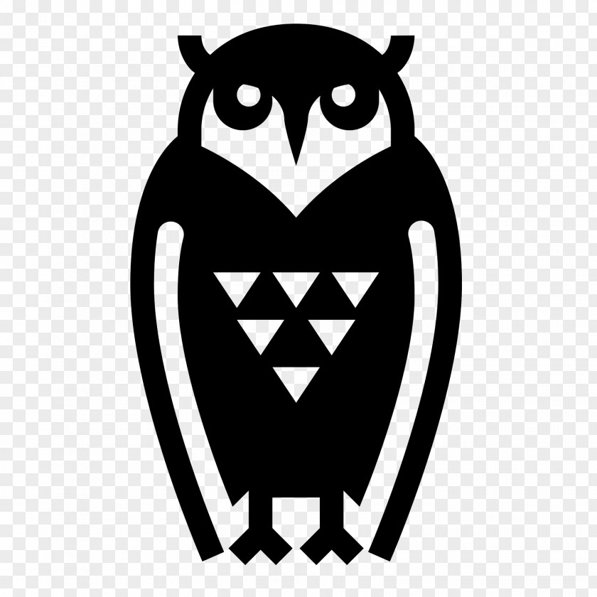 Owl Bird PNG