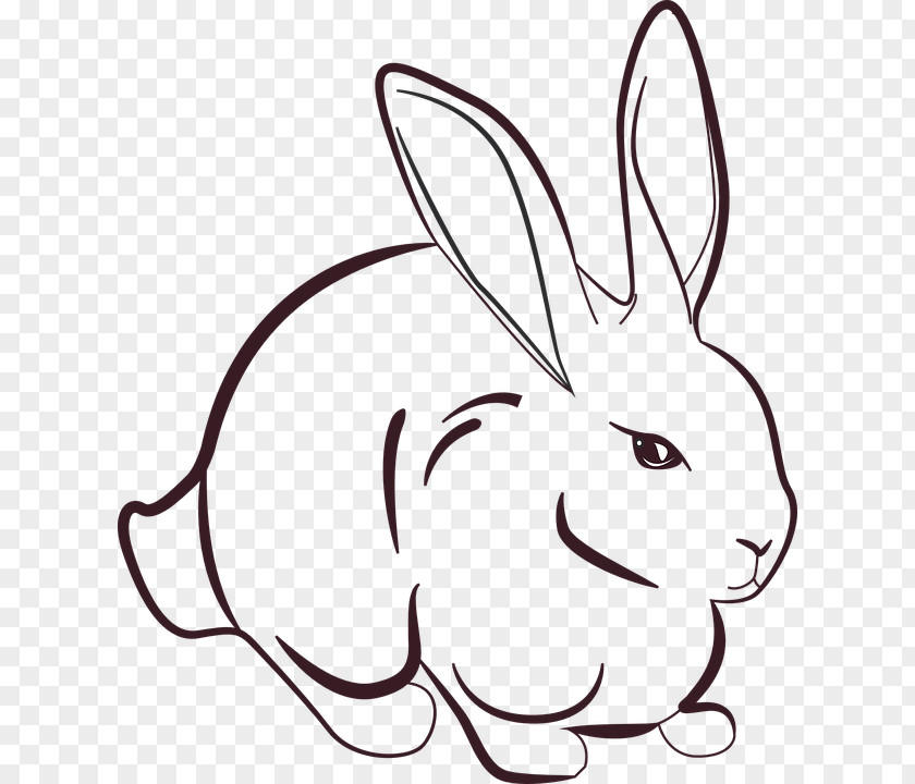 Rabbit Jessica Roger Hare Drawing PNG