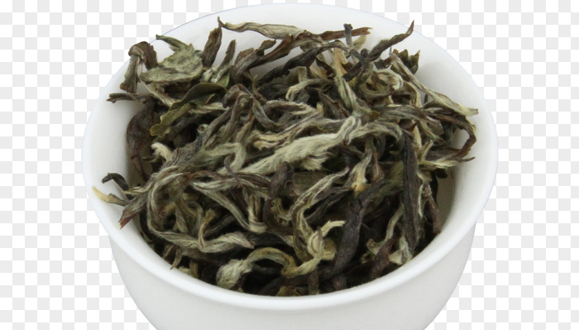 Tea Nilgiri White Dianhong Hōjicha PNG