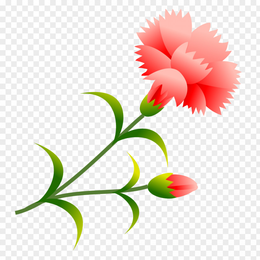 Cgi Carnation School Summer Vacation Flower Plant Stem PNG