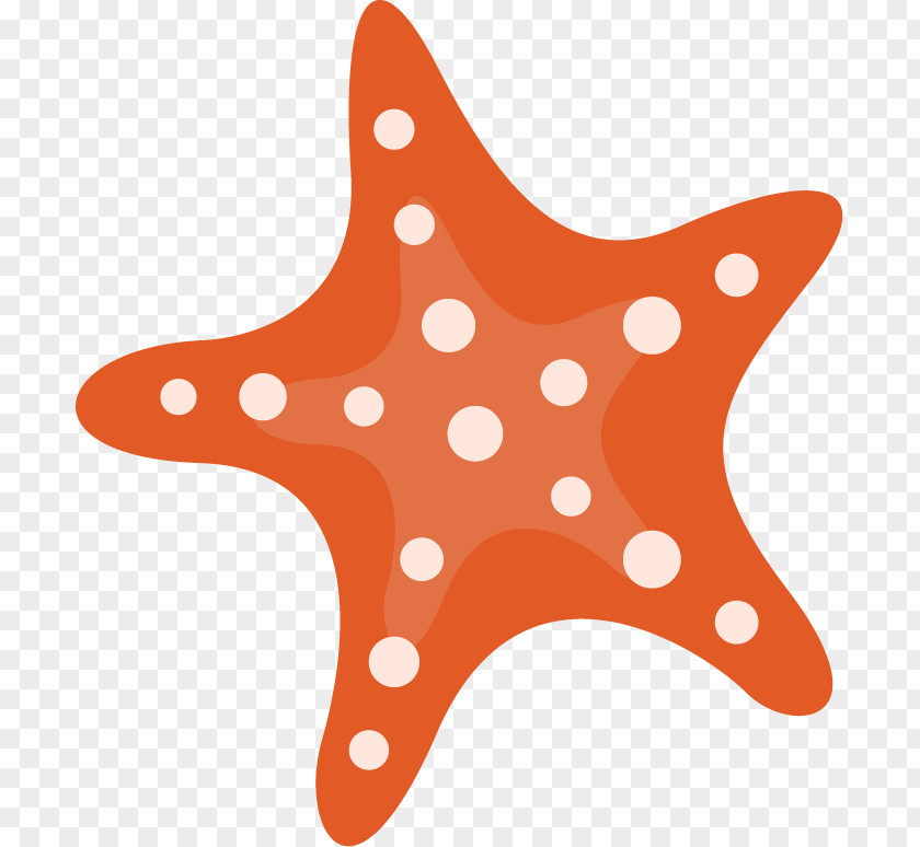 Hand Painted Red Starfish Callopatiria Granifera PNG