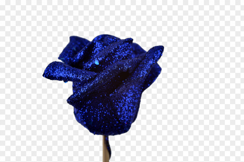 Rose Blue Euclidean Vector PNG