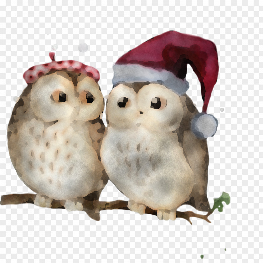 Stuffed Toy Birds Bird Of Prey Owl M Science PNG