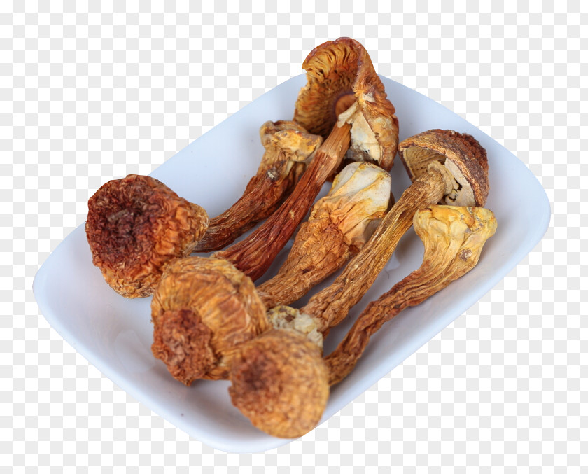 A Dish Of Dried Mushrooms Gutian County Mushroom Jiangxi Ningxia PNG