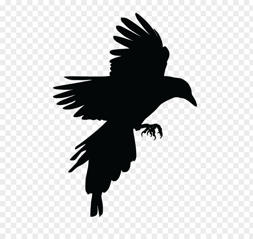 Bird Crow Eurasian Magpie Tattoo PNG