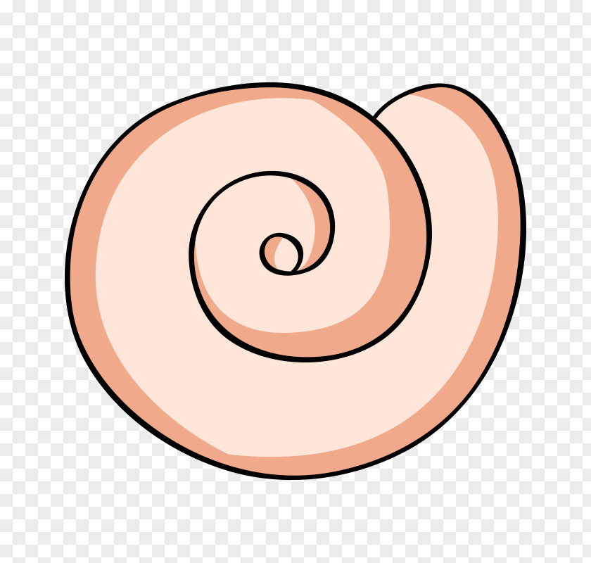 Escargots Orthogastropoda Illustration Clip Art Mollusc Shell PNG