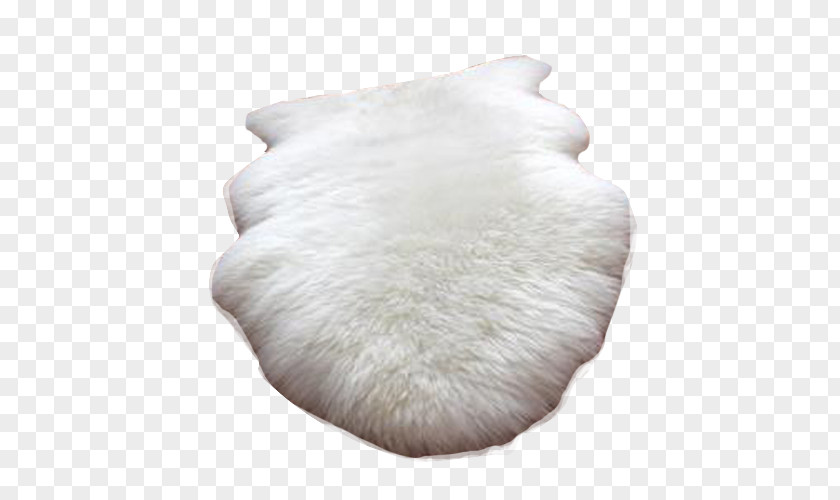 Fluffy Carpet Blanket PNG