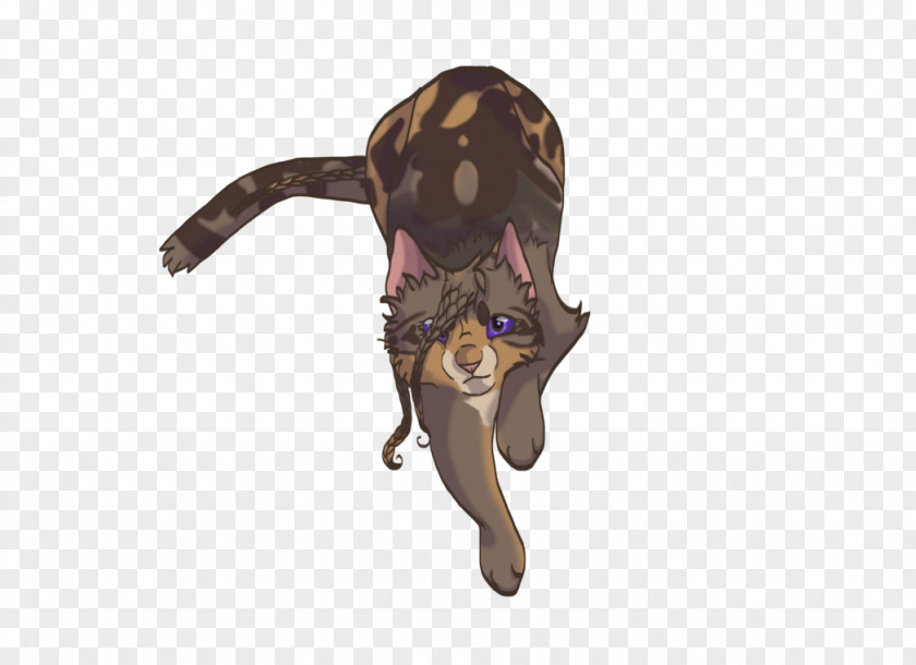 Jump Ropes Cat Breed Gender DeviantArt PNG