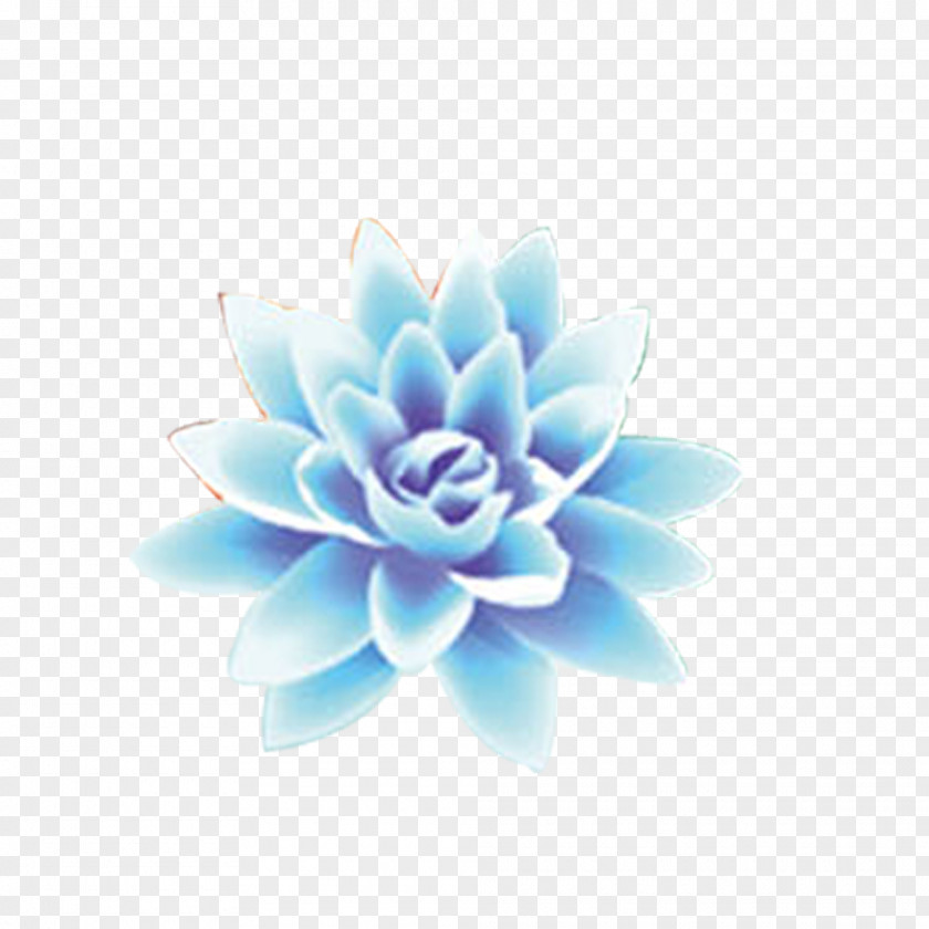 Lotus Pattern Flower Clip Art PNG