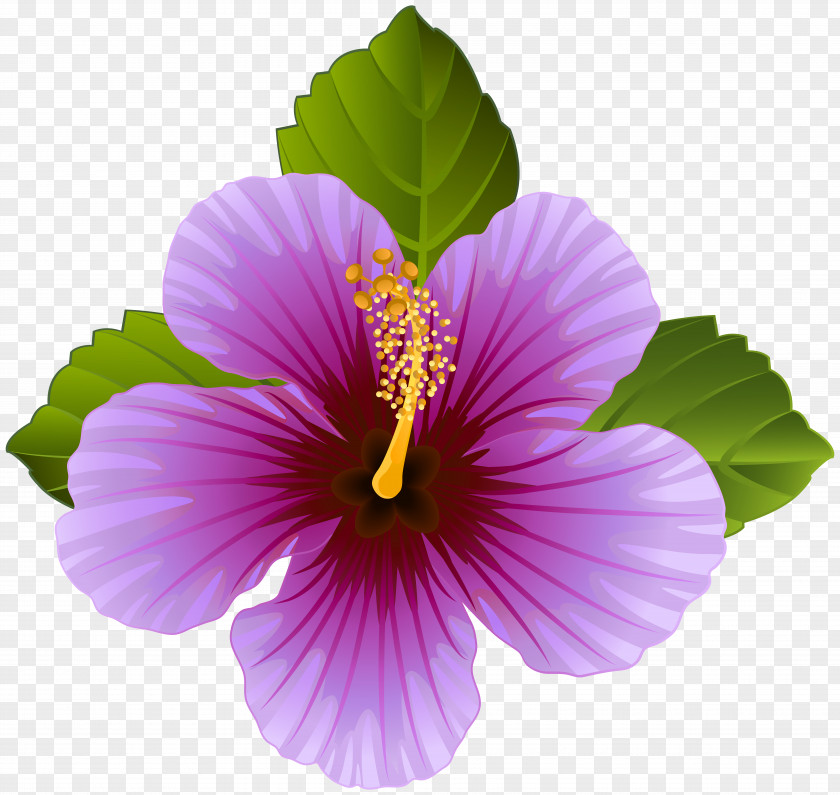 Purple Flowers Flower Desktop Wallpaper Clip Art PNG