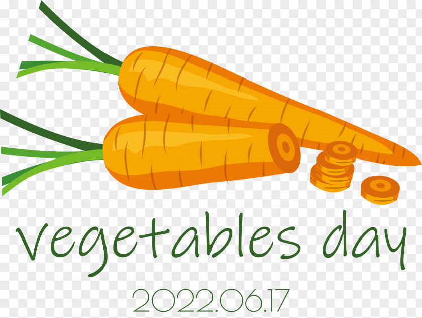 Vegetable Carrot Superfood Commodity Line PNG