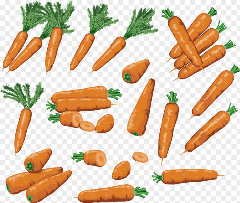 Carrot Clip Art Juice Image PNG