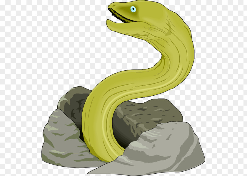 Eeo Cliparts Moray Eel Giant Clip Art PNG