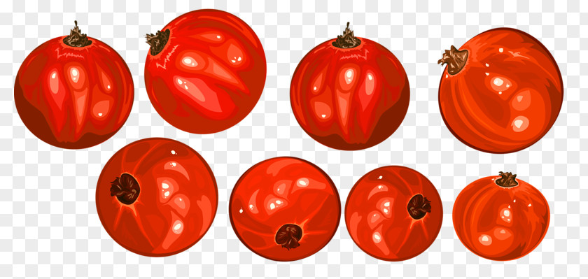 Eight Pomegranate Gratis Clip Art PNG