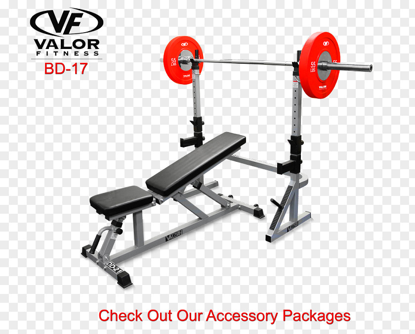 Gym Squats Bench Press Fitness Centre Power Rack Physical PNG