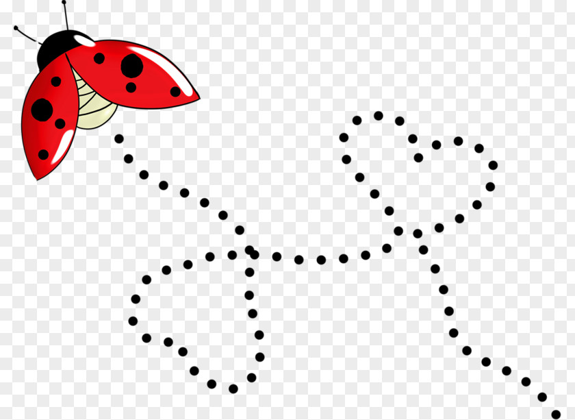 Insect Ladybird Beetle PNG