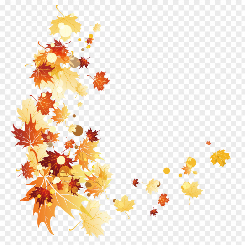 Beautiful Autumn Leaves Background Leaf Color PNG
