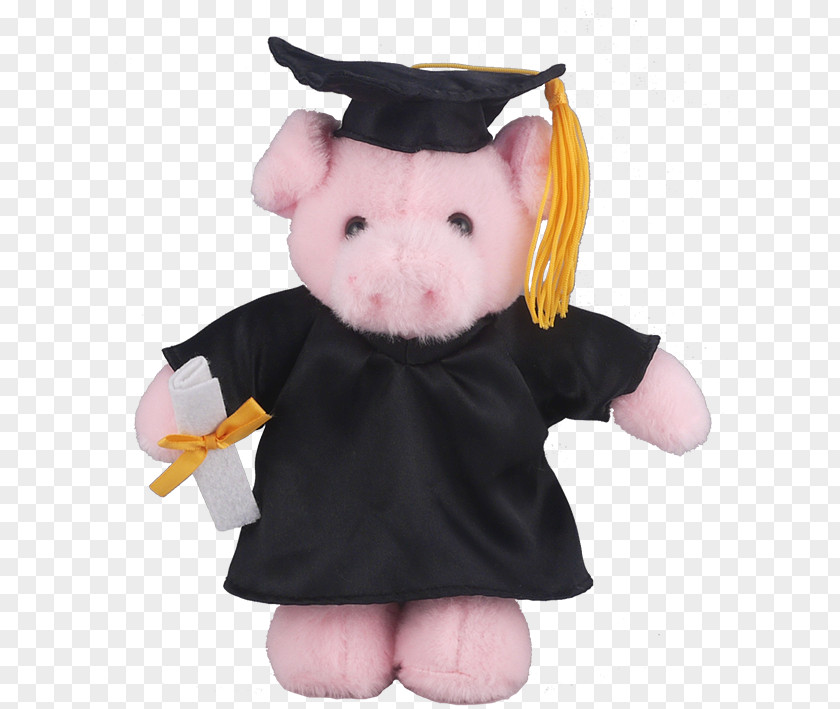 Graduation Gown Stuffed Animals & Cuddly Toys Pig Ceremony Academic Dress PNG