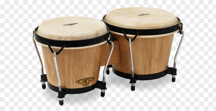 Musical Instruments Bongo Drum Latin Percussion PNG