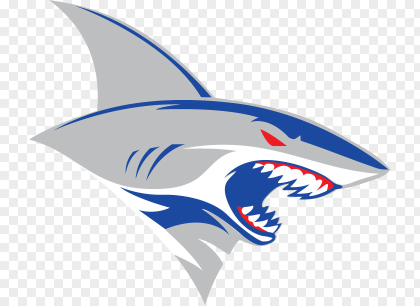 Shark Image Logo American Football PNG