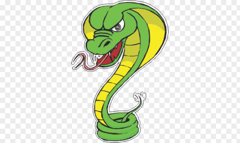 Snakes Illustration Image Vector Graphics Drawing PNG