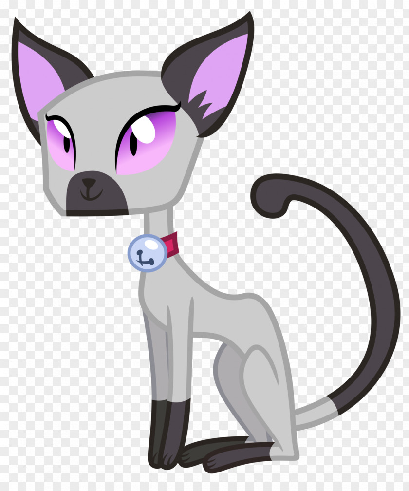 Tom And Jerry Pony Kitten Dog Sphynx Cat Siamese PNG