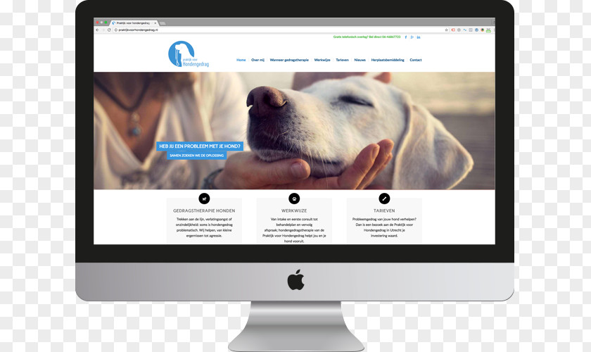 Web Design Wohlfühlfaktoren: Hundeernährung, Pflege, Alltagstipps Page PNG