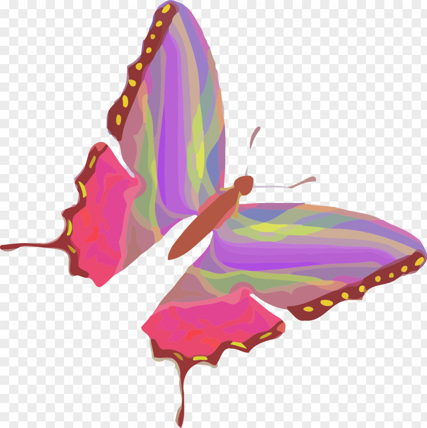 Buuterfly Graphic Clip Art Vector Graphics Drawing Image Illustration PNG