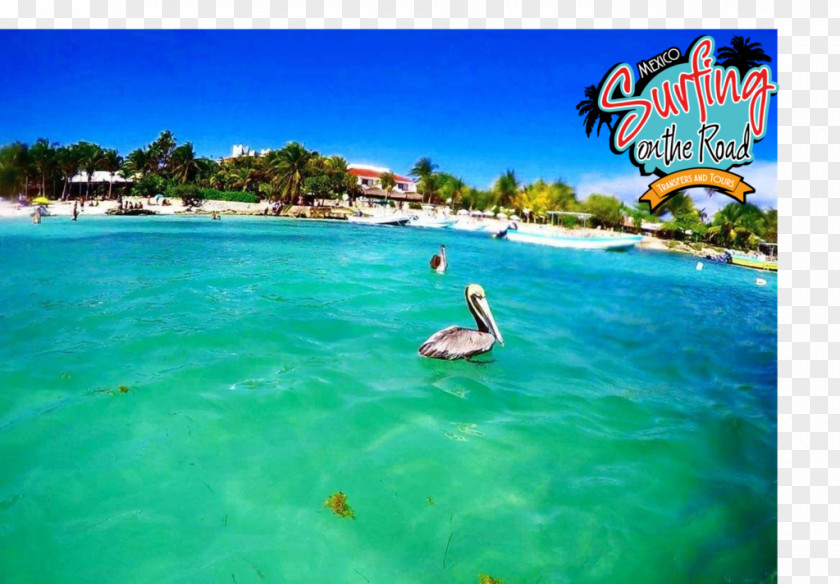 Hotel Akumal Beach Caribbean Travel PNG