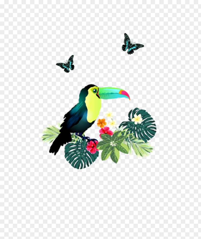 Pelikan Ag Winterwochenende Graphics Illustration Fauna Feather PNG