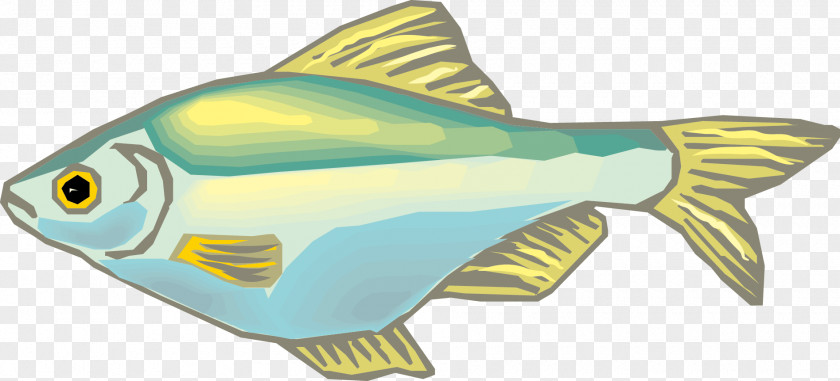 Cartoon Fish Seafood PNG