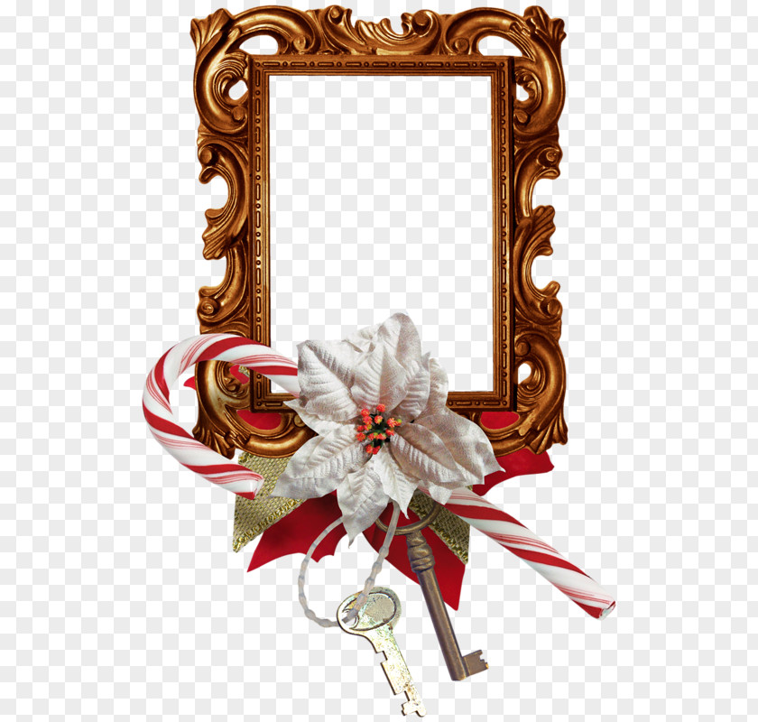 Christmas Ornament New Year Flower Poinsettia PNG