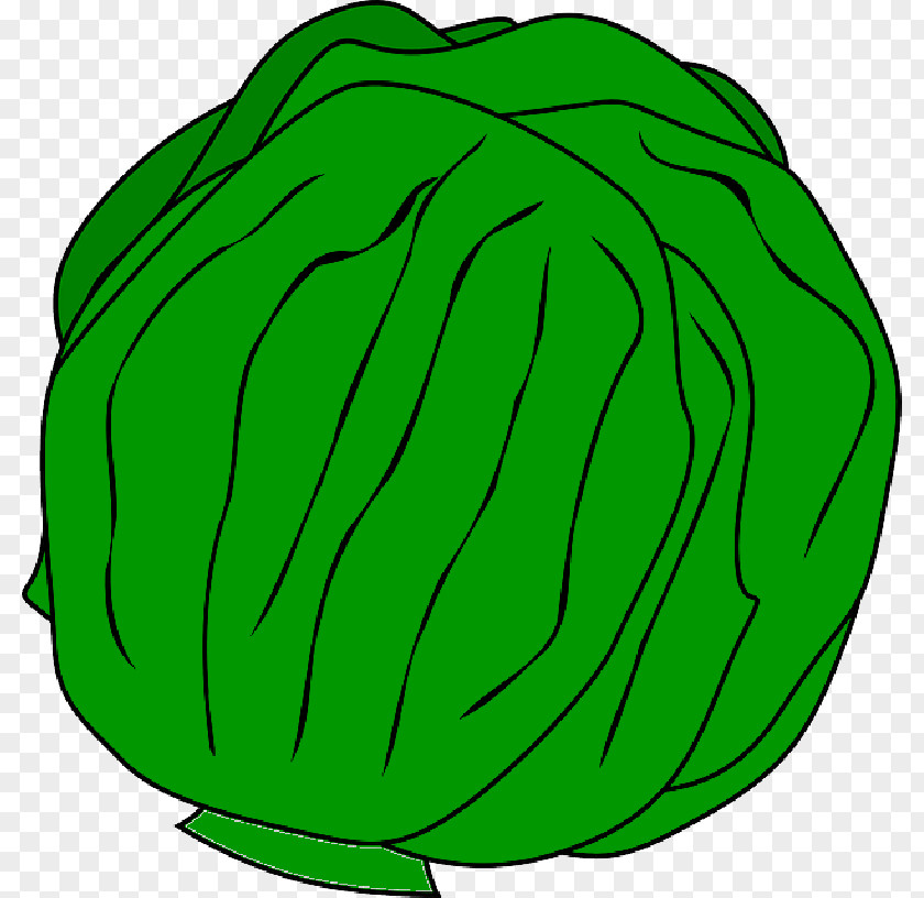 Green Top Clip Art Squash Salad Iceberg Lettuce Melon PNG